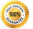 pest control 100% guarantee san diego